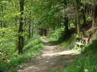 Bütgenbach Wanderweg
