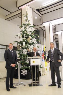 Weihnachtsbaum