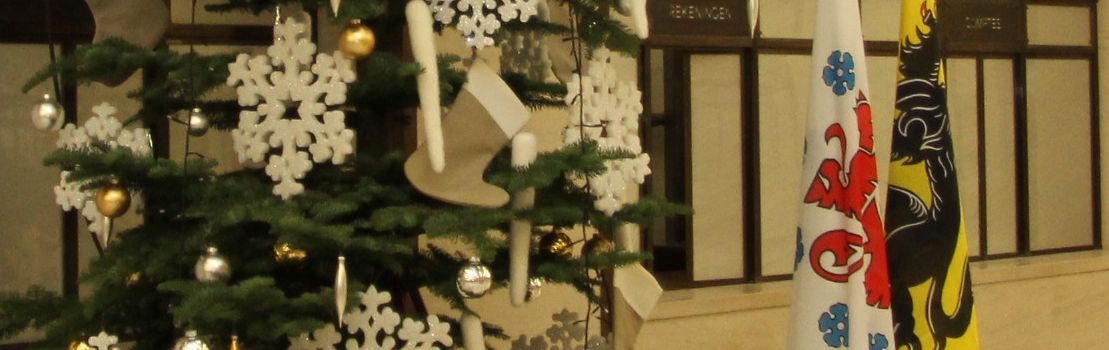 Ein Weihnachtsbaum fürs Flämische Parlament