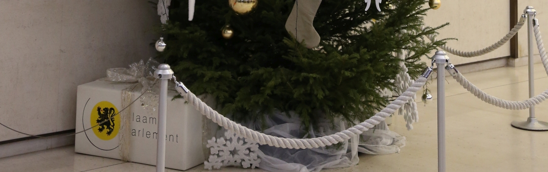 Weihnachtsbaum als Geschenk aus der DG