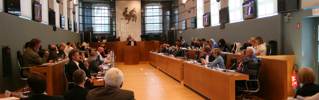 Parlamentspräsident spricht vor Wallonischem Plenum in Namur