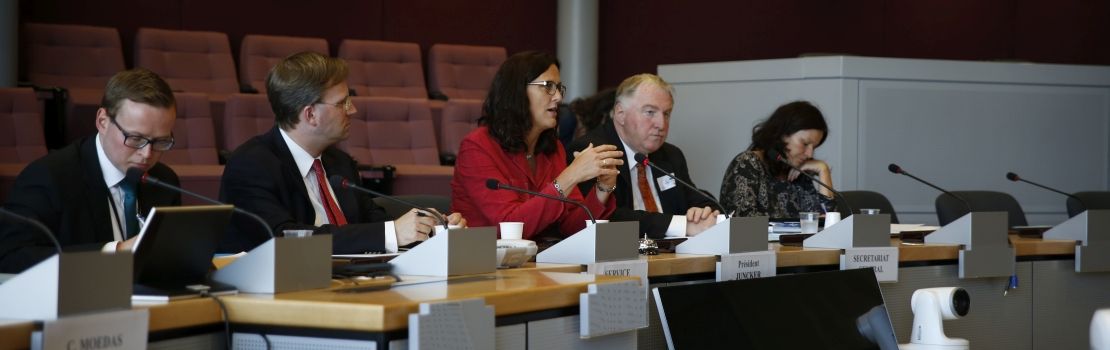 Ausschuss I zu Anhörung bei EU-Kommissarin