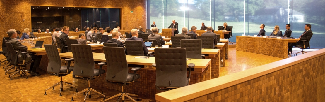 Die Abstimmungsergebnisse der Plenarsitzungen vom 26. Juni 2017