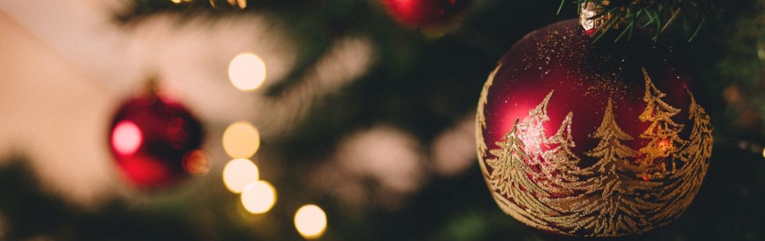 Das Parlament wünscht frohe Weihnachten und viel Glück und Erfolg im neuen Jahr