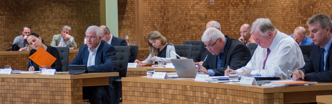 Die Abstimmungsergebnisse der Plenarsitzung vom 25. Februar 2019