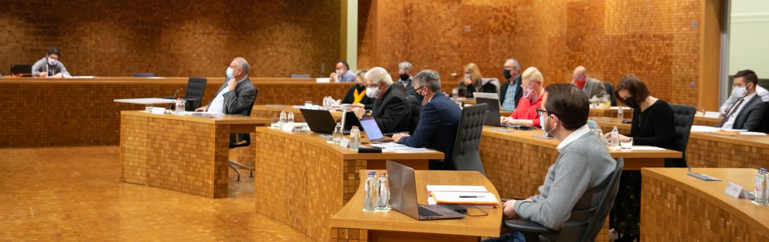 Die Abstimmungsergebnisse der Plenarsitzung vom 23. November 2020