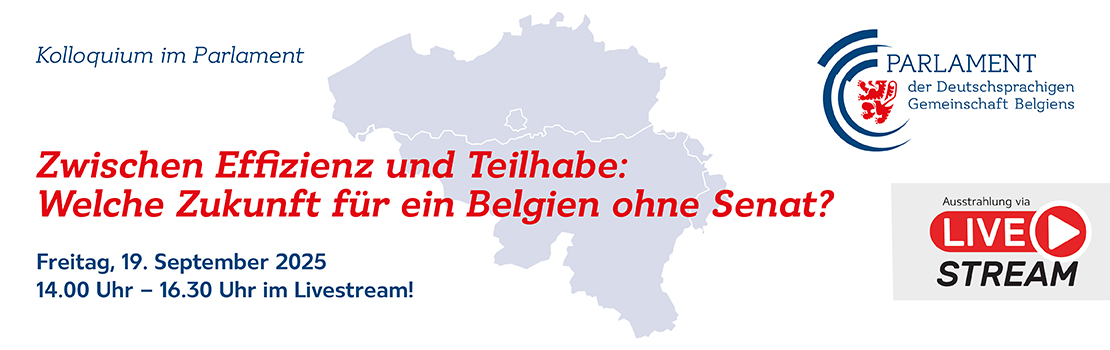 Zwischen Effizienz und Teilhabe: Welche Zukunft für den Senat?