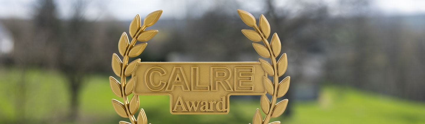 Bürgerdialog der Deutschsprachigen Gemeinschaft erhält CALRE Award „Stars of Europe“